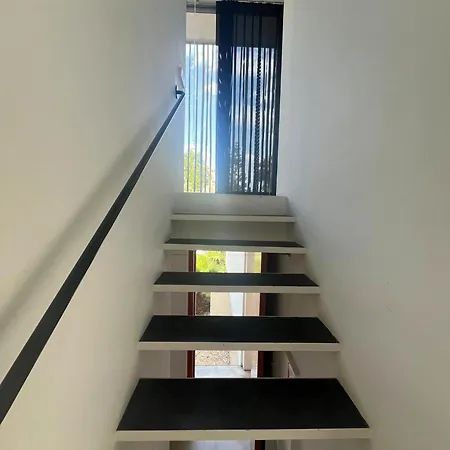 Marta Αλικάντε